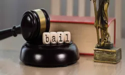 Bail -- Advocate as Mastermind of Forgery -- Denied where risk of tampering with evidence exists