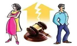 Cruelty -- Pressure to Sign Divorce and Custody Papers -- Does not amount to cruelty under BNS