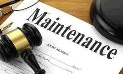 Interim Maintenance to Wife -- Professionally Qualified Spouse -- Capacity to Earn Not Equated to Actual Income