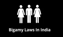  Bigamy -- Direction for DNA Test of Minor Child -- Paternity has no bearing on ingredients of offence, order set aside