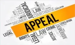 First Appeal -- Remand for Non-Framing of Specific Issue -- Appellate court should decide the dispute itself where material already on record enables adjudication