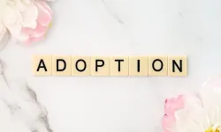 Adoption -- Age of Child on Date of Application -- Governing Date for Eligibility